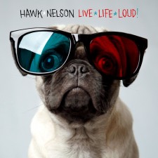 Hawk Nelson - Live Life Loud (CD)